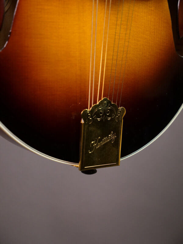Kentucky Guitar