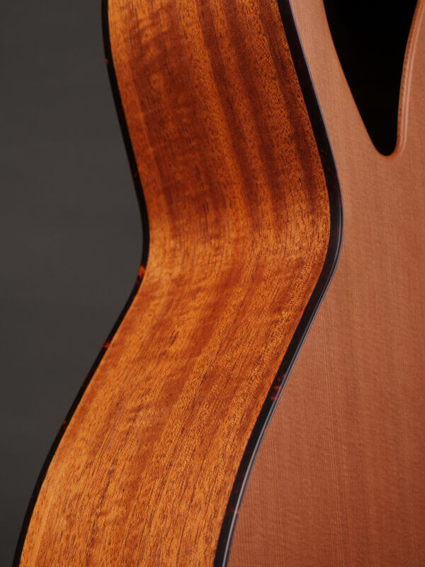 Furch 61-CM4 Bass - Image 7