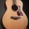 Taylor GT Urban Ash - Image 2