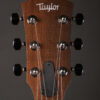 Taylor GT Urban Ash - Image 7