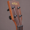Premier Exotic Ebony Tenor Ukulele - Image 4