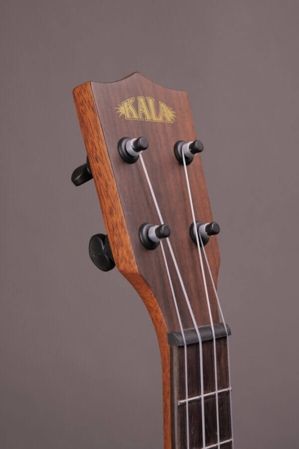 Premier Exotic Ebony Tenor Ukulele - Image 4