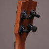 Premier Exotic Ebony Tenor Ukulele - Image 7