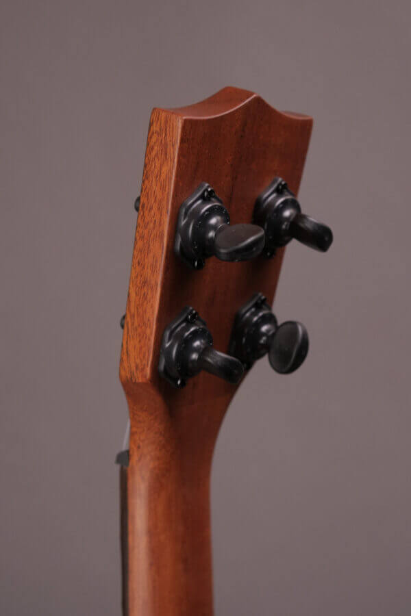 Premier Exotic Ebony Tenor Ukulele - Image 7