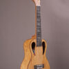 Amahi C-10 - Image 3