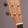 Amahi C-10 - Image 4