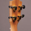 Amahi C-10 - Image 7
