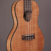 Kala Exotic Mahogany Travel Concert