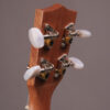 Kala Exotic Mahogany Travel Concert - Image 7