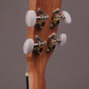 Kala Exotic Mahogany Travel Tenor - Image 6