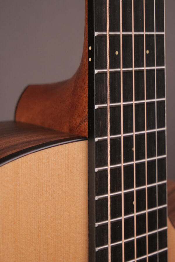 Furch Blue GC-SW - Image 6