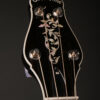 Gold Tone CEB-5 - Image 5