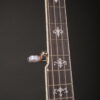 Gold Tone CEB-5 - Image 6