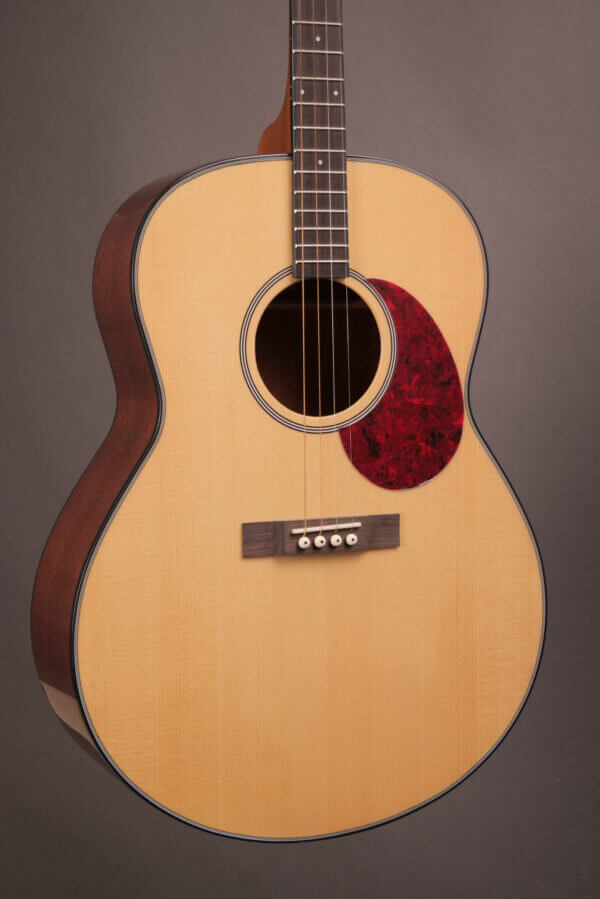 Gold Tone Tenor TG-18