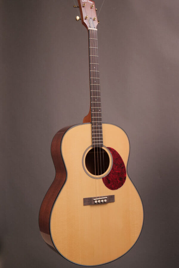 Gold Tone Tenor TG-18 - Image 2