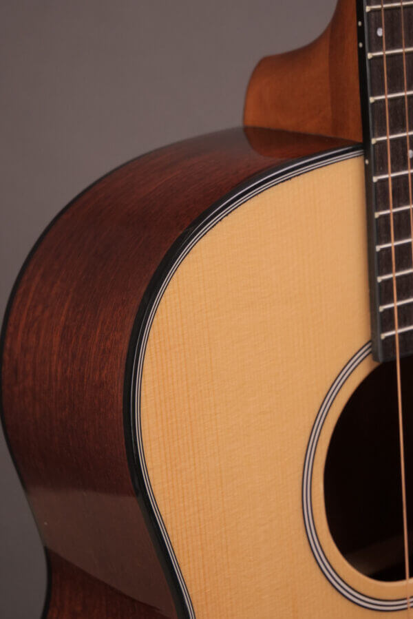 Gold Tone Tenor TG-18 - Image 3