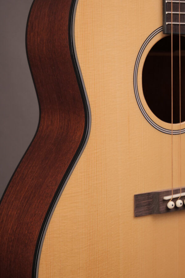Gold Tone Tenor TG-18 - Image 4