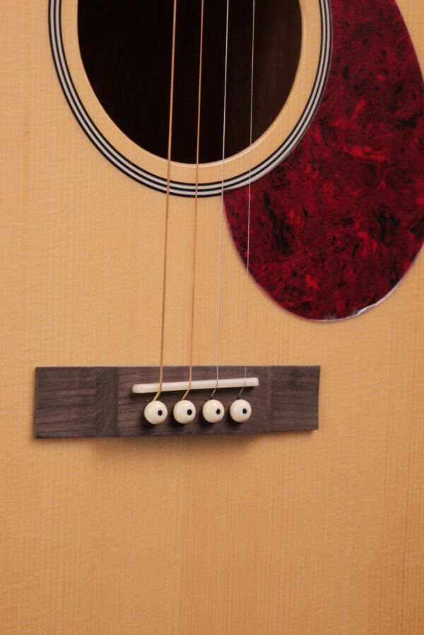 Gold Tone Tenor TG-18 - Image 5
