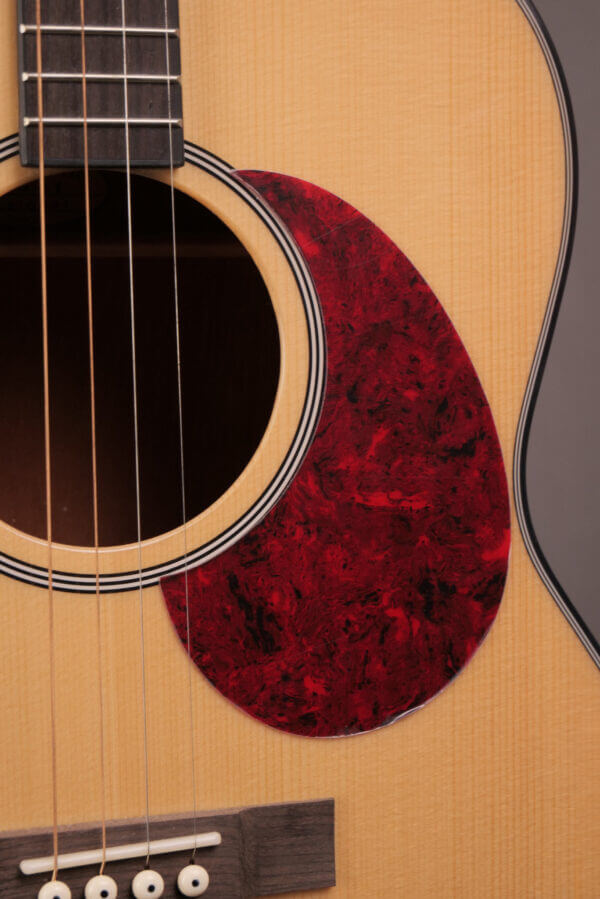 Gold Tone Tenor TG-18 - Image 6