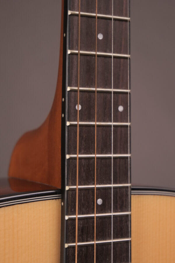 Gold Tone Tenor TG-18 - Image 7