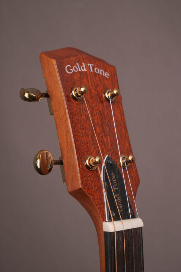Gold Tone Tenor TG-18 - Image 8