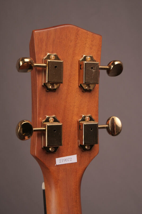 Gold Tone Tenor TG-18 - Image 9