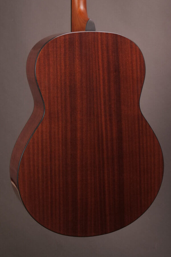 Gold Tone Tenor TG-18 - Image 10