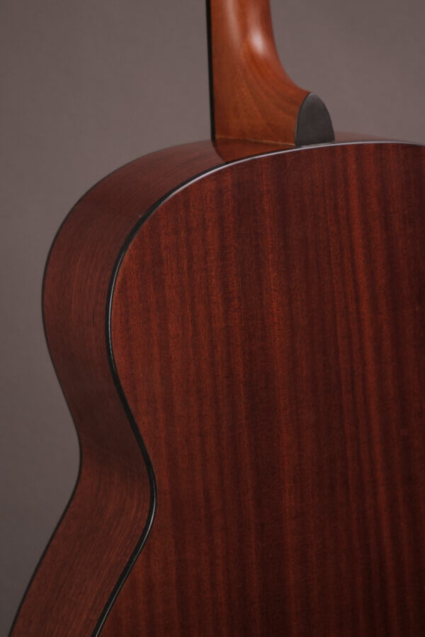 Gold Tone Tenor TG-18 - Image 11