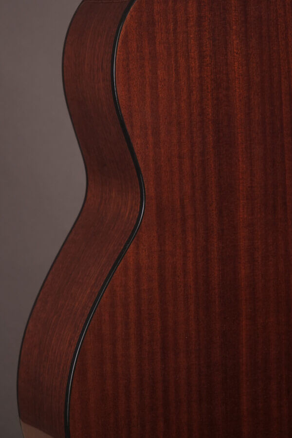 Gold Tone Tenor TG-18 - Image 12