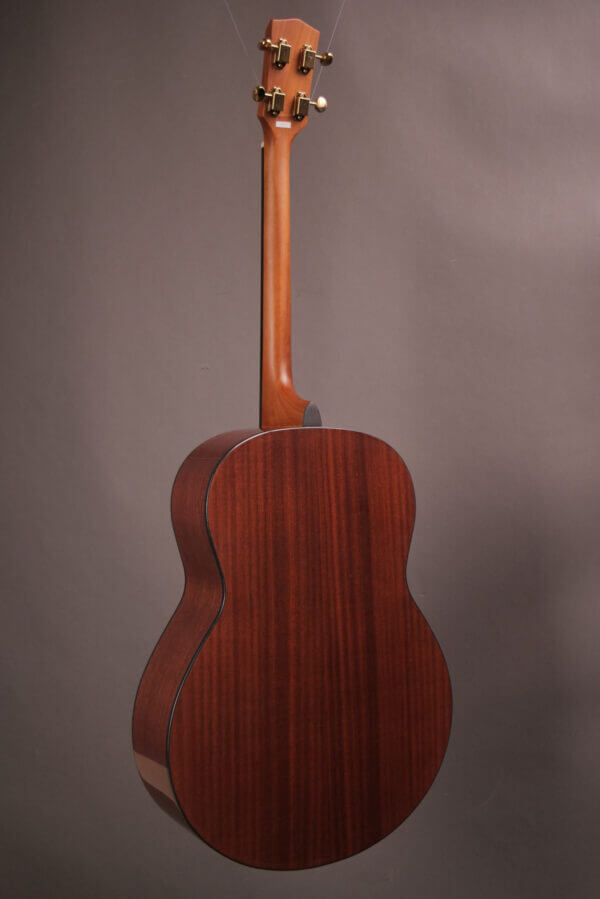 Gold Tone Tenor TG-18 - Image 13