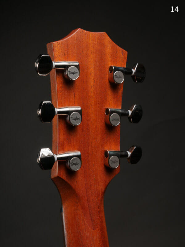 Taylor GTe Urban Ash - Image 11