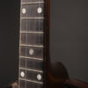 Vegaphone Professional Tenor - Image 7