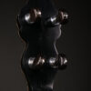 Wayne Fairchild "Stealth" Plectrum Banjo - Image 2