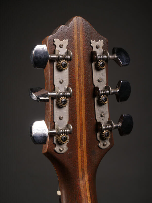 Epiphone Triumph Masterbilt Archtop (1932) - Image 5