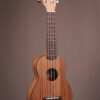 Kala KA-PWS Pacific Walnut Soprano - Image 2