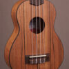 Kala KA-PWS Pacific Walnut Soprano
