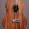 Kala Teak-C