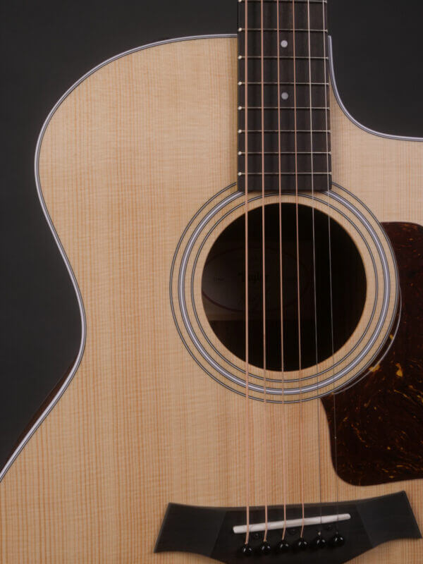 Taylor 214ce - Image 4