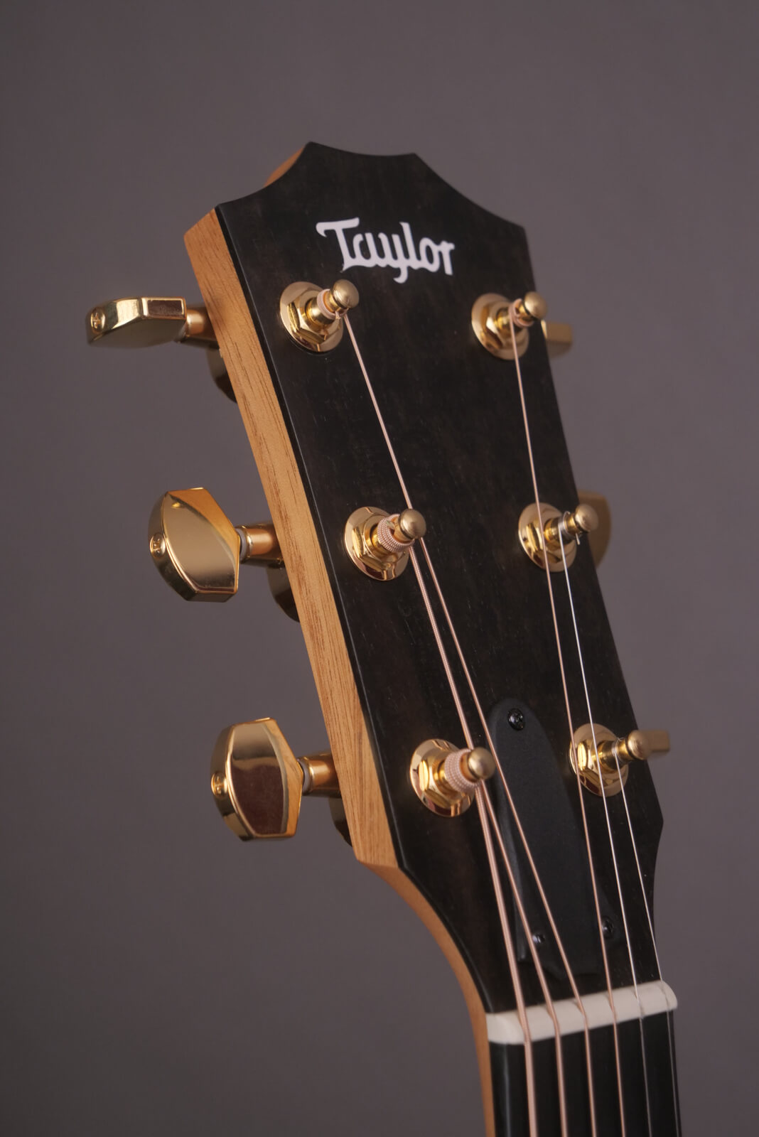 Taylor 224ceK DLX Heart’s Home Acoustics