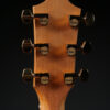 Taylor 224ce-K DLX - Image 9