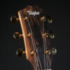 Taylor 224ce-K DLX - Image 8