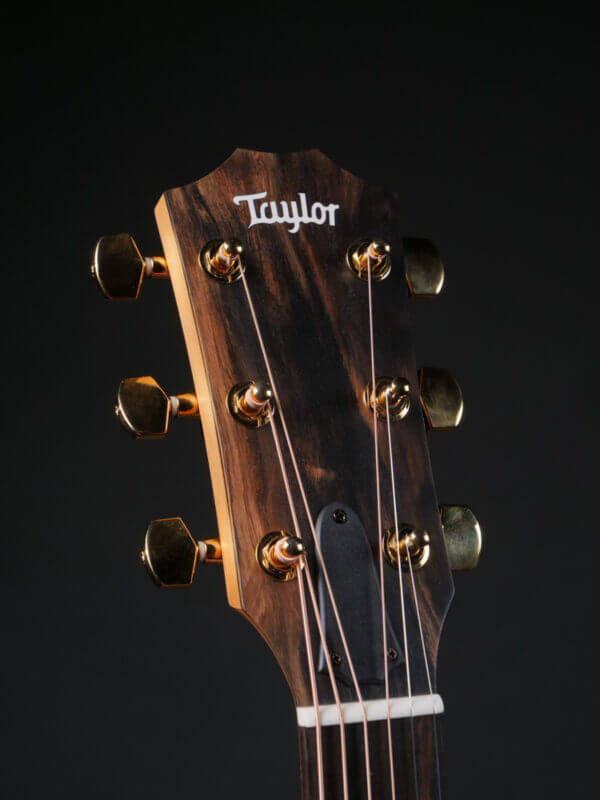 Taylor 224ce-K DLX - Image 8