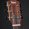 GS Mini Sapele - Image 12