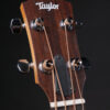 Taylor GS Mini-e Bass - Image 13
