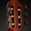 George Bolin Classical (1976) - Image 3