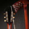 Gibson Harp Guitar - Image 4
