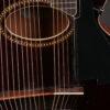 Gibson Harp Guitar - Image 7