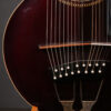 Gibson Harp Guitar - Image 13