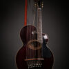 Gibson Harp Guitar - Image 15