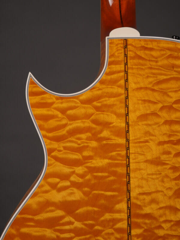 Guild DD-6MCE - Image 7